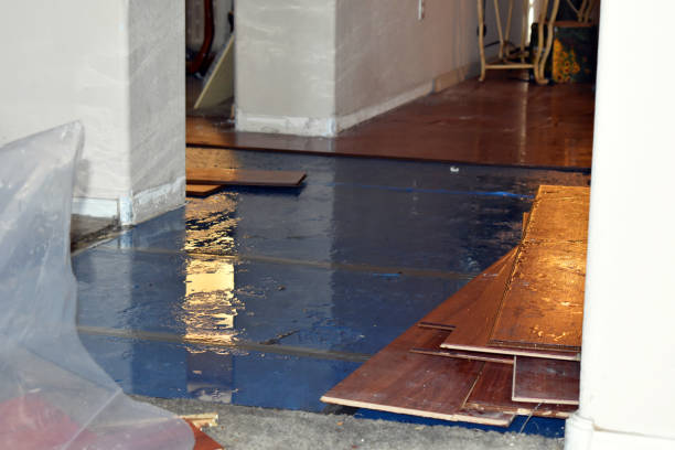 Professional Water Extraction technician working in Valley View, PA